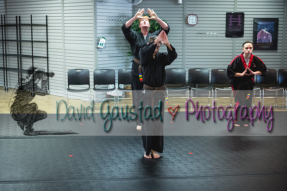 Midwest Professional Karate Black Belt Test 2016