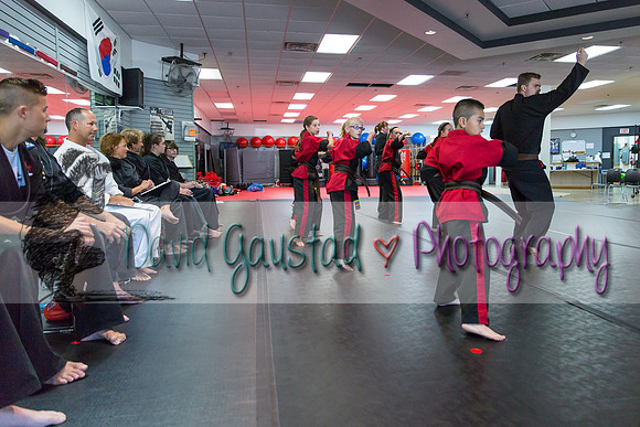 Midwest Professional Karate Black Belt Test 2016
