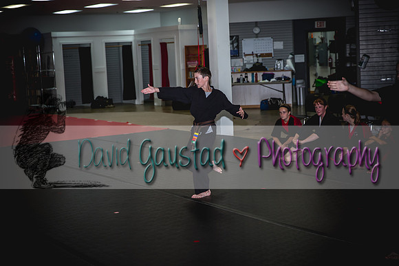 Midwest Professional Karate Black Belt Test 2016