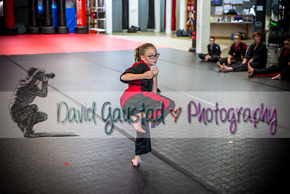 Midwest Professional Karate Black Belt Test 2016