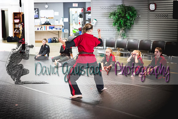 Midwest Professional Karate Black Belt Test 2016