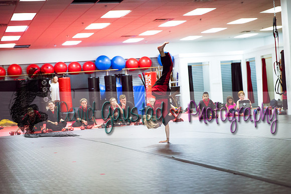 Midwest Professional Karate Black Belt Test 2016