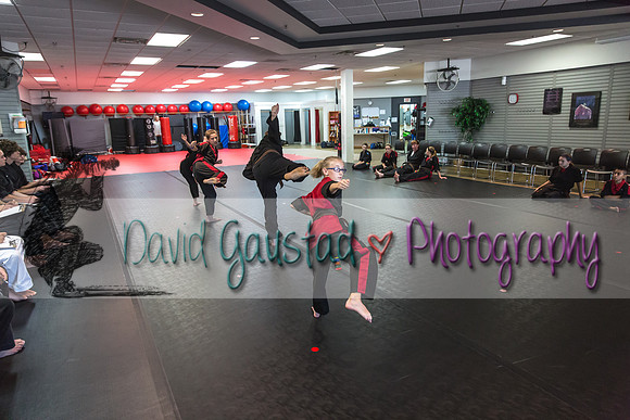 Midwest Professional Karate Black Belt Test 2016