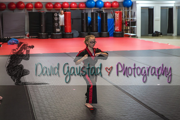 Midwest Professional Karate Black Belt Test 2016