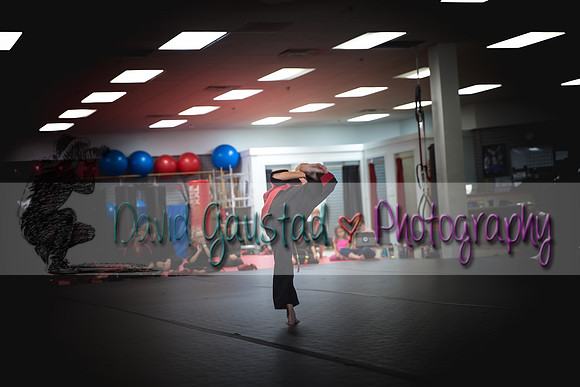 Midwest Professional Karate Black Belt Test 2016