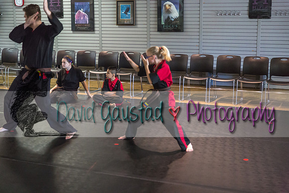 Midwest Professional Karate Black Belt Test 2016