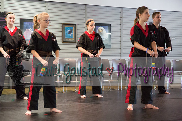 Midwest Professional Karate Black Belt Test 2016