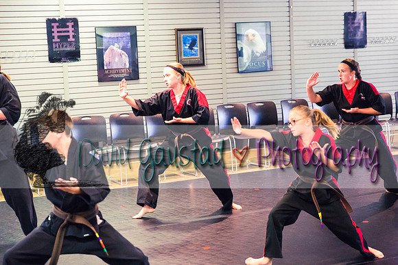 Midwest Professional Karate Black Belt Test 2016