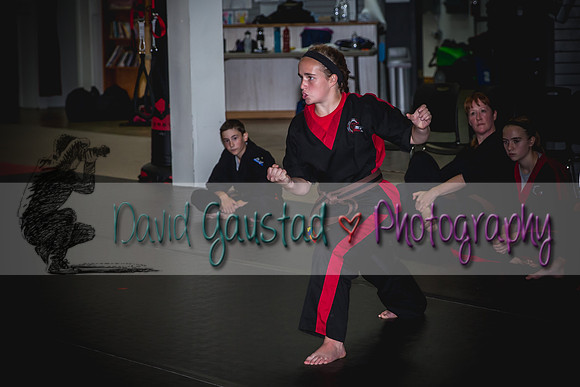 Midwest Professional Karate Black Belt Test 2016