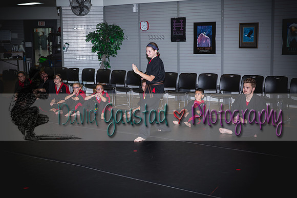 Midwest Professional Karate Black Belt Test 2016