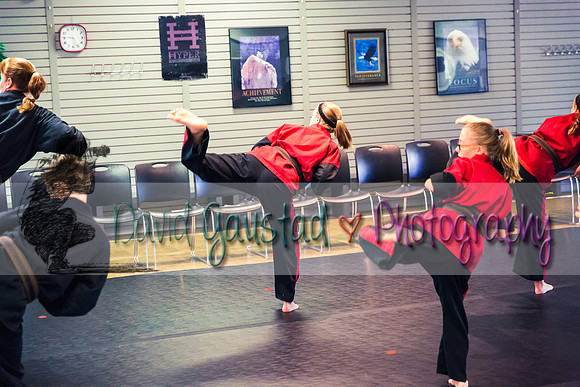 Midwest Professional Karate Black Belt Test 2016