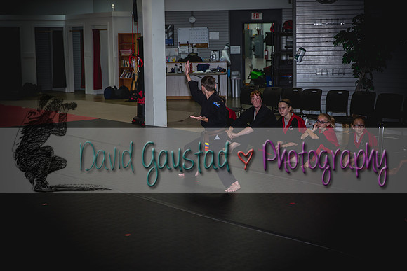 Midwest Professional Karate Black Belt Test 2016