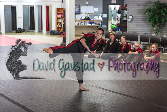 Midwest Professional Karate Black Belt Test 2016
