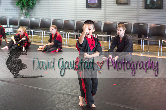 Midwest Professional Karate Black Belt Test 2016