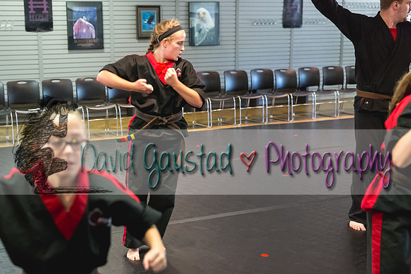 Midwest Professional Karate Black Belt Test 2016