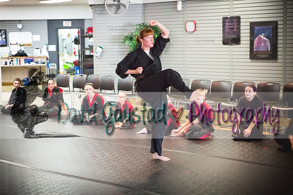 Midwest Professional Karate Black Belt Test 2016