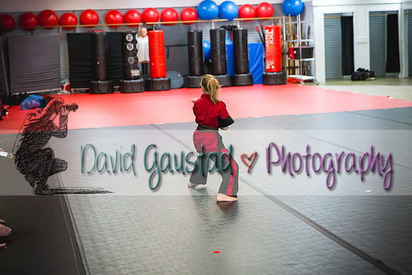 Midwest Professional Karate Black Belt Test 2016