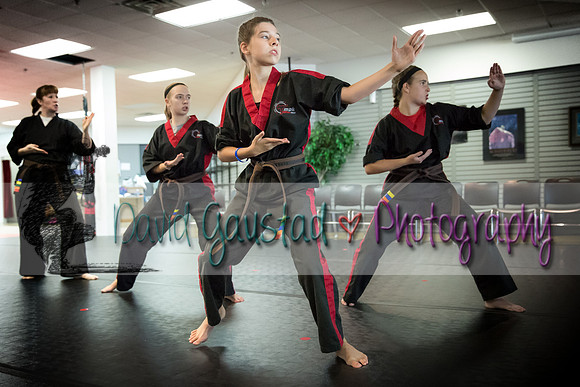 Midwest Professional Karate Black Belt Test 2016