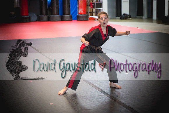 Midwest Professional Karate Black Belt Test 2016