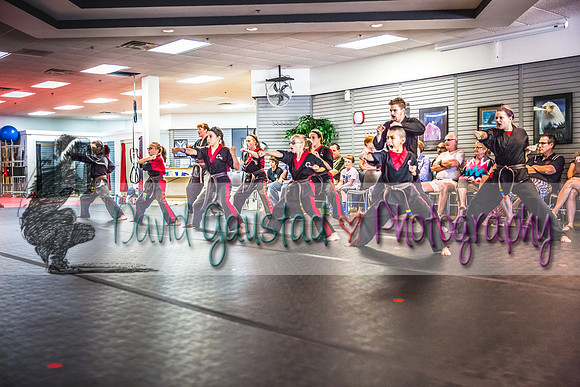 Midwest Professional Karate Black Belt Test 2016