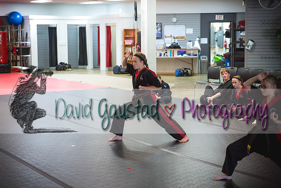 Midwest Professional Karate Black Belt Test 2016