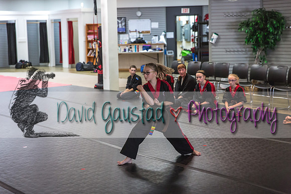 Midwest Professional Karate Black Belt Test 2016