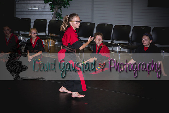 Midwest Professional Karate Black Belt Test 2016