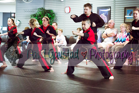 Midwest Professional Karate Black Belt Test 2016