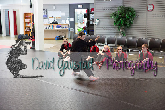 Midwest Professional Karate Black Belt Test 2016
