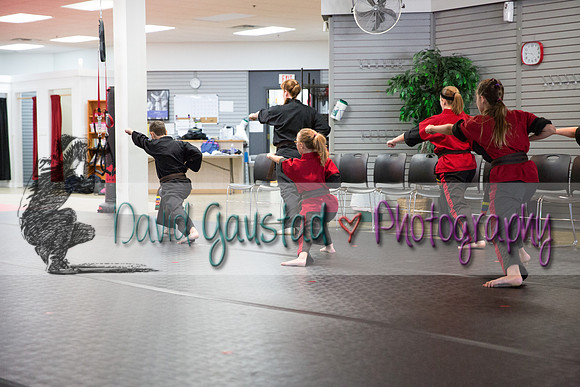 Midwest Professional Karate Black Belt Test 2016