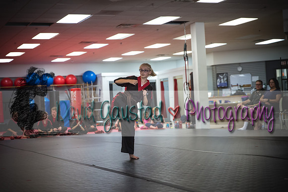 Midwest Professional Karate Black Belt Test 2016