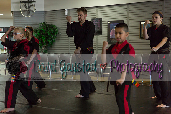 Midwest Professional Karate Black Belt Test 2016