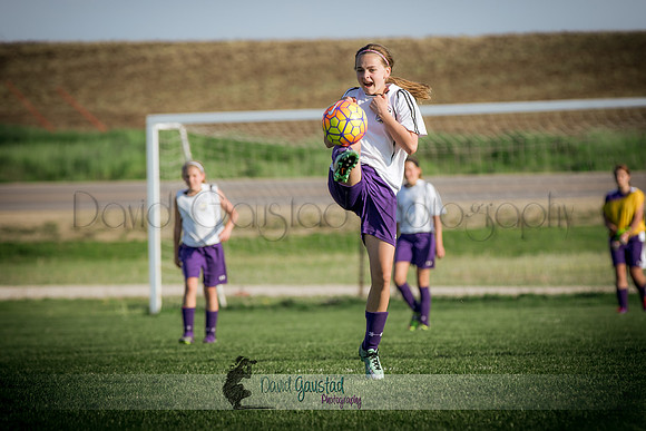 DeForest Norski soccer vs Rock on 5/21/2016