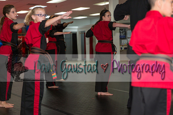 Midwest Professional Karate Black Belt Test 2016