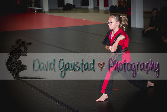 Midwest Professional Karate Black Belt Test 2016
