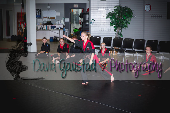 Midwest Professional Karate Black Belt Test 2016