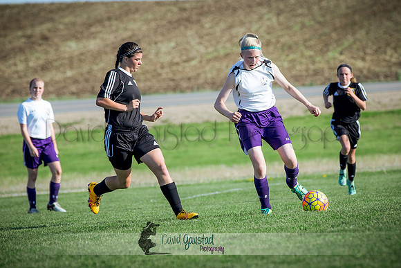 DeForest Norski soccer vs Rock on 5/21/2016