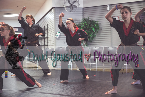 Midwest Professional Karate Black Belt Test 2016