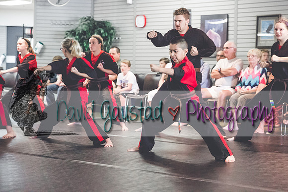 Midwest Professional Karate Black Belt Test 2016