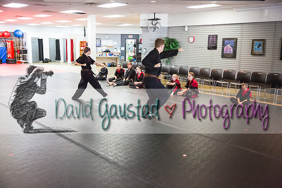 Midwest Professional Karate Black Belt Test 2016