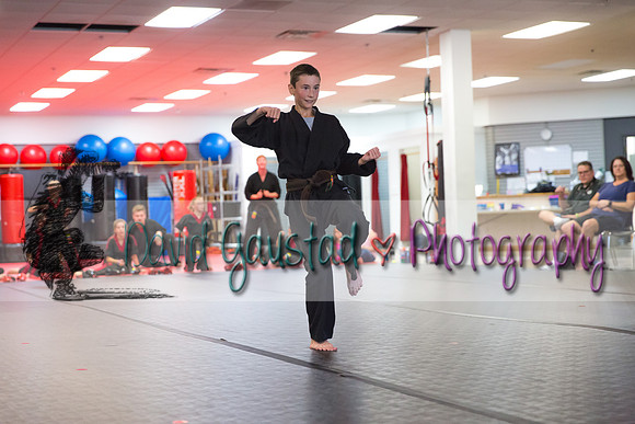 Midwest Professional Karate Black Belt Test 2016