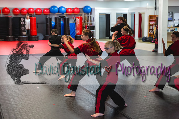Midwest Professional Karate Black Belt Test 2016