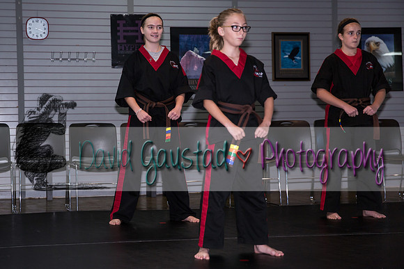 Midwest Professional Karate Black Belt Test 2016