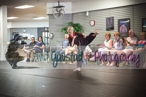 Midwest Professional Karate Black Belt Test 2016