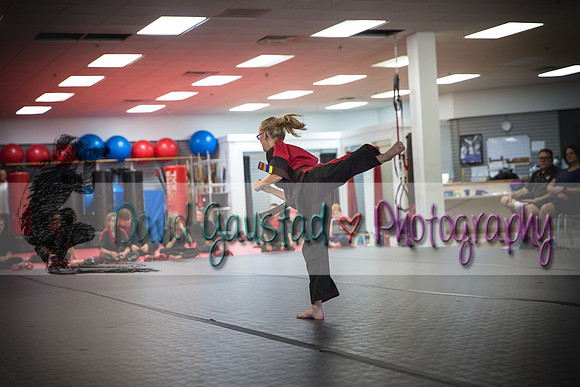 Midwest Professional Karate Black Belt Test 2016