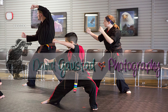 Midwest Professional Karate Black Belt Test 2016