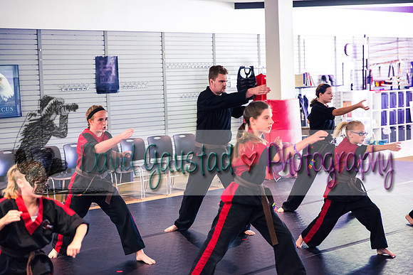 Midwest Professional Karate Black Belt Test 2016