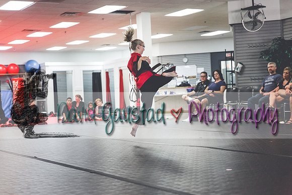 Midwest Professional Karate Black Belt Test 2016