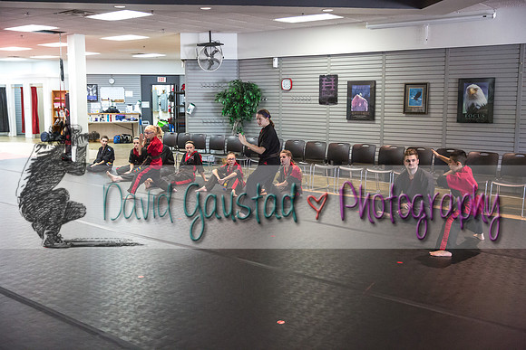 Midwest Professional Karate Black Belt Test 2016