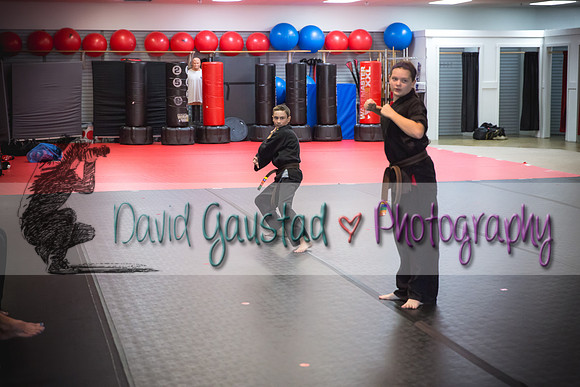 Midwest Professional Karate Black Belt Test 2016